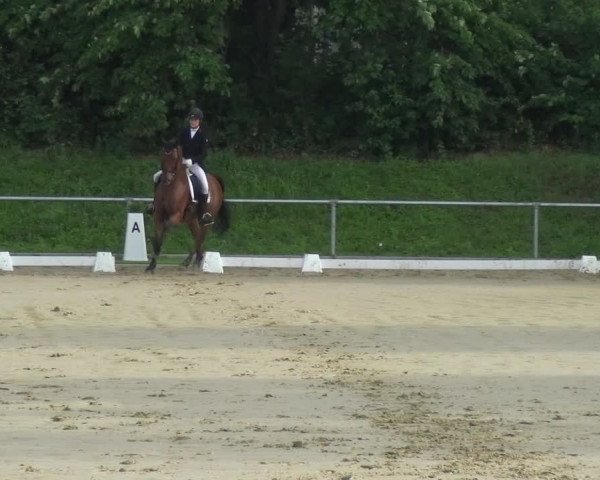 Reitturnier Ladenburg 2018