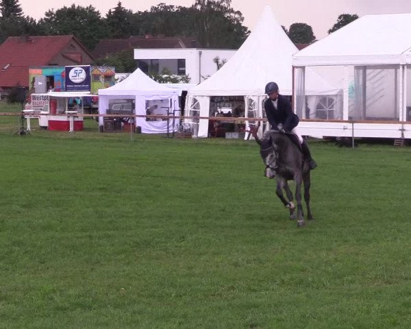 Reitturnier Schillerslage 2018
