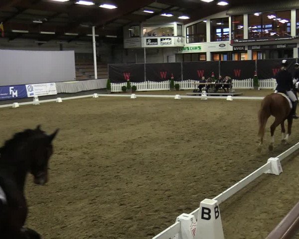 Reitturnier Münster-Handorf 2021