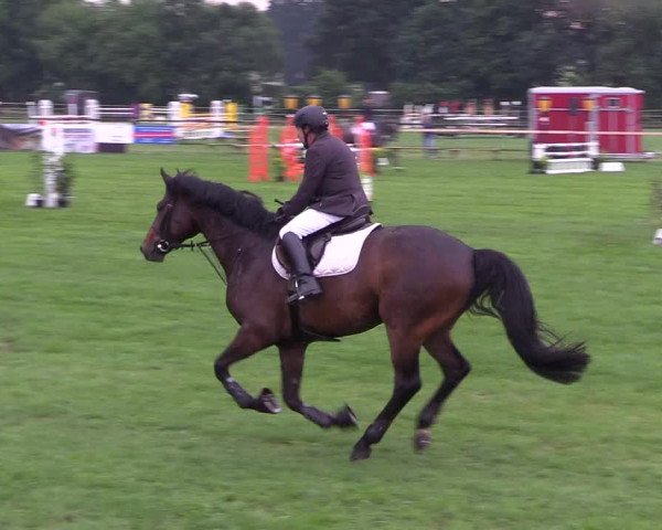 Reitturnier Schillerslage 2018