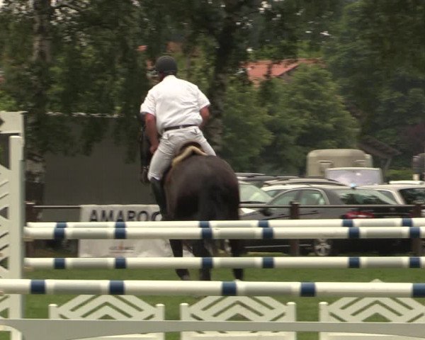Reitturnier Hille 2018