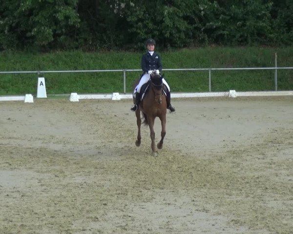 Reitturnier Ladenburg 2018