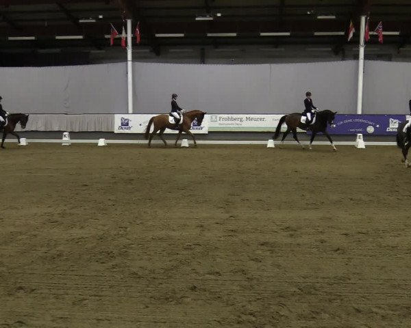 Reitturnier Münster-Handorf 2021