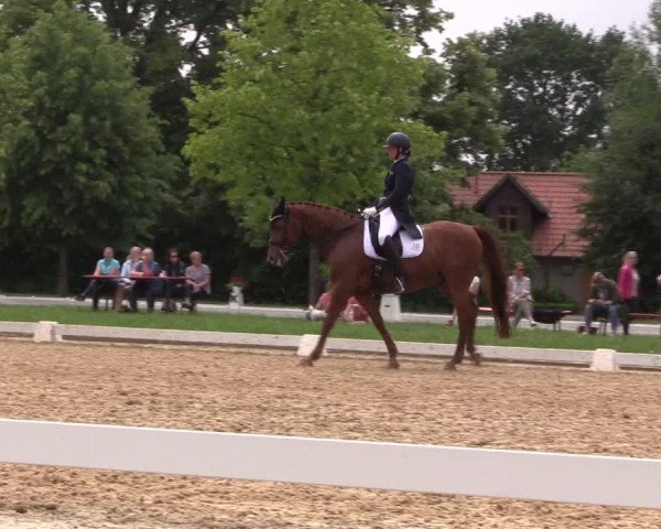 Reitturnier Hille 2018