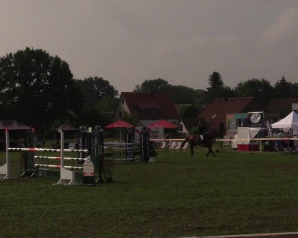 Reitturnier Schillerslage 2018