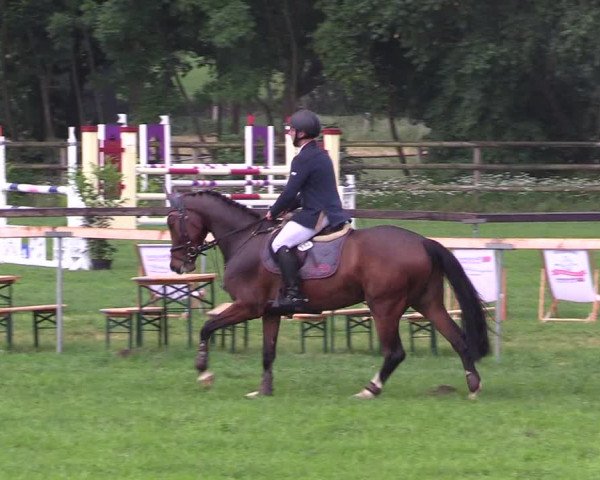 Reitturnier Schillerslage 2018