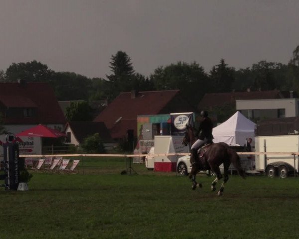 Reitturnier Schillerslage 2018