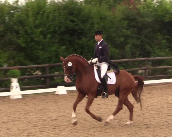 Reitturnier Schillerslage 2018