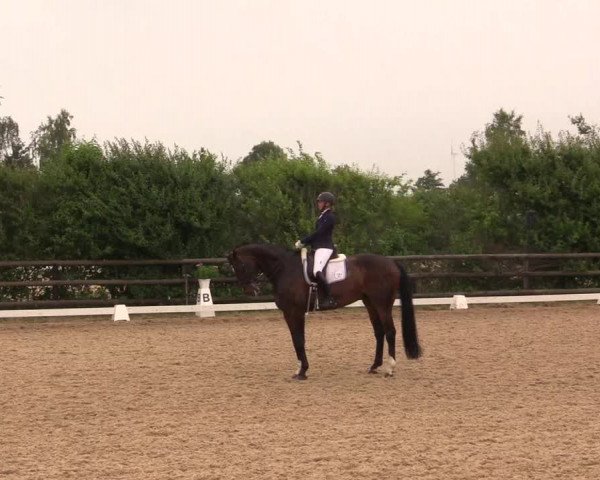 Reitturnier Schillerslage 2018
