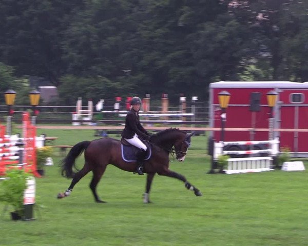 Reitturnier Schillerslage 2018
