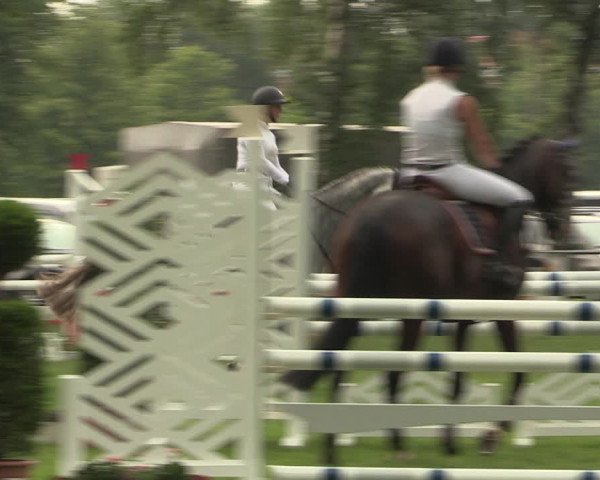 Reitturnier Hille 2018