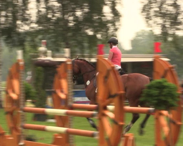 Reitturnier Hille 2018