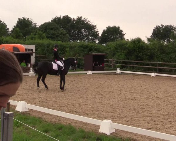 Reitturnier Schillerslage 2018