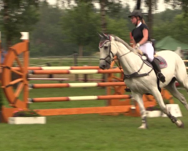 Reitturnier Hille 2018