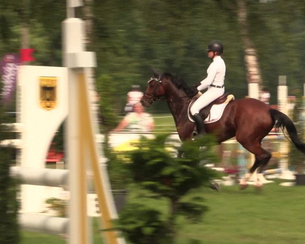 Reitturnier Hille 2018