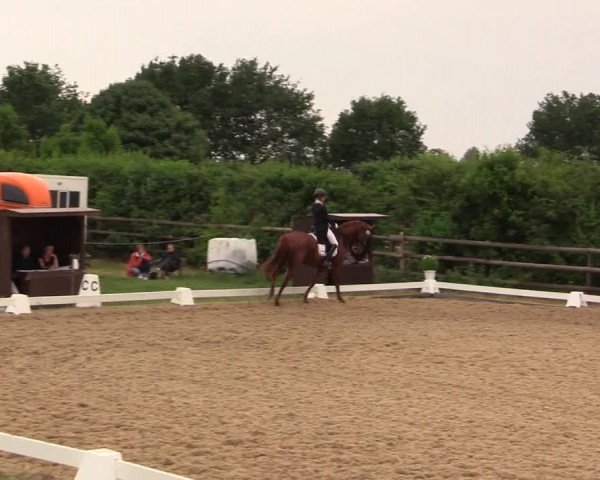 Reitturnier Schillerslage 2018
