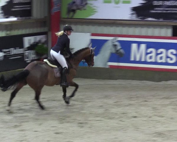 6. Nordic Jumping in Negernbötel 2021