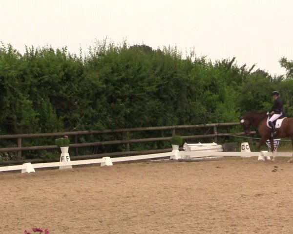 Reitturnier Schillerslage 2018