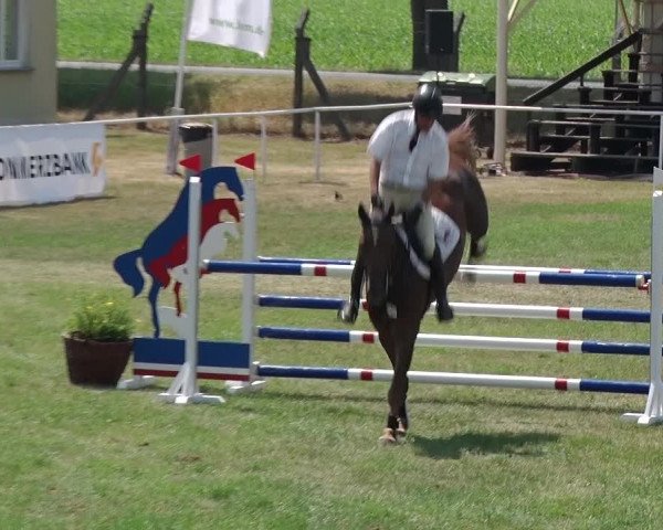 Reitturnier Schwanebeck 2018