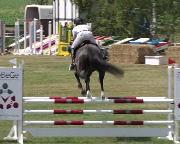 Reitturnier Schwanebeck 2018