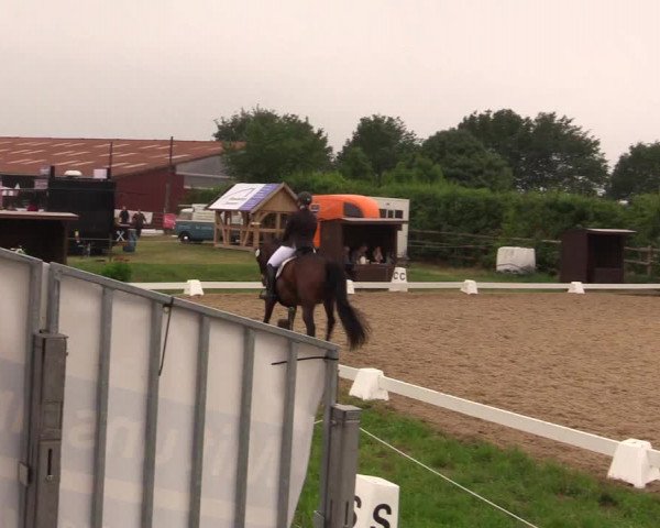 Reitturnier Schillerslage 2018