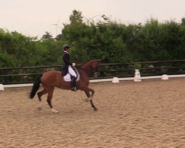 Reitturnier Schillerslage 2018