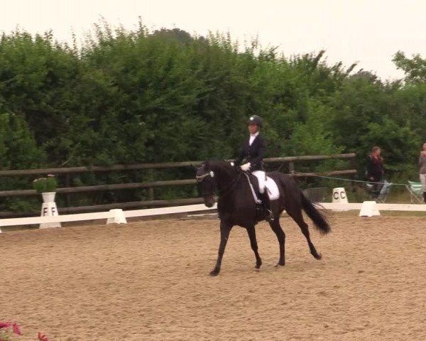 Reitturnier Schillerslage 2018