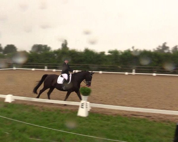 Reitturnier Schillerslage 2018