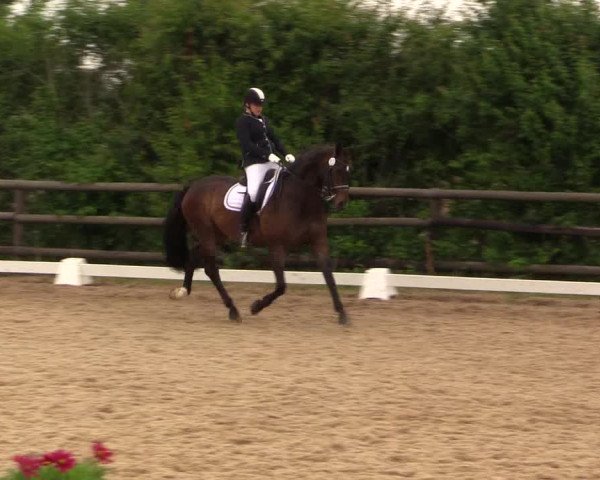 Reitturnier Schillerslage 2018