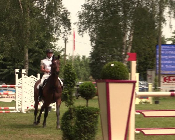 Reitturnier Hille 2018