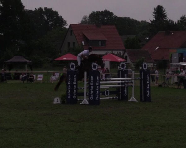 Reitturnier Schillerslage 2018