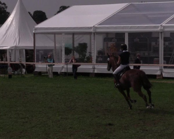 Reitturnier Schillerslage 2018