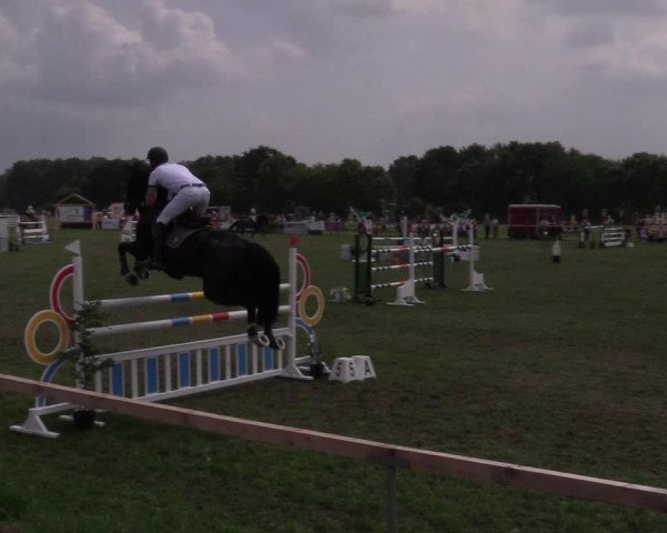 Reitturnier Schillerslage 2018