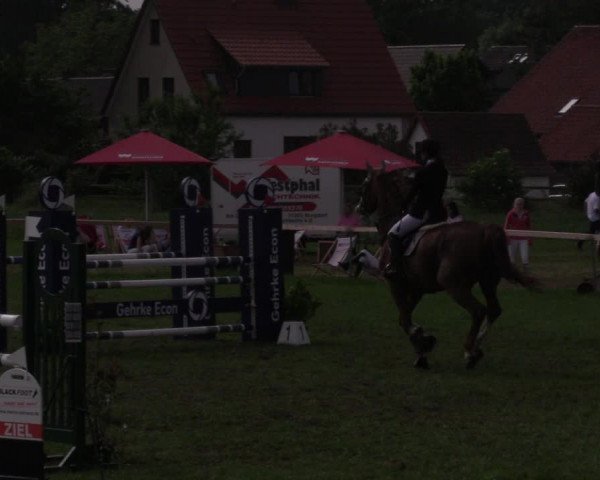 Reitturnier Schillerslage 2018