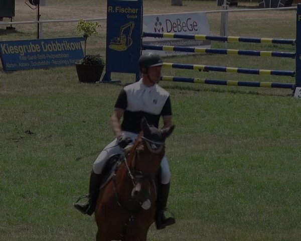 Reitturnier Schwanebeck 2018
