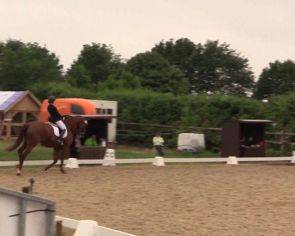 Reitturnier Schillerslage 2018
