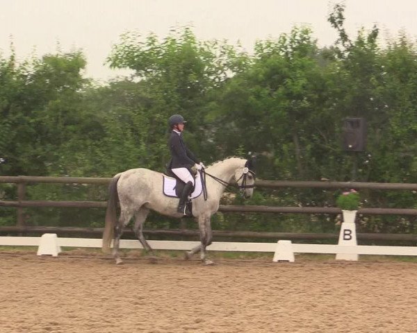 Reitturnier Schillerslage 2018