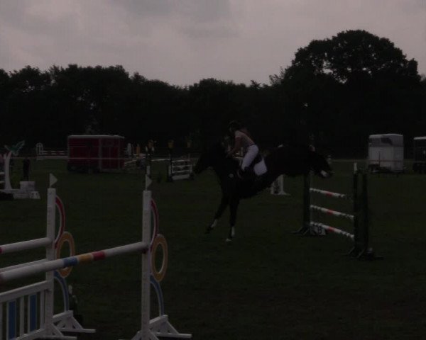 Reitturnier Schillerslage 2018