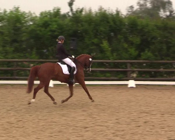 Reitturnier Schillerslage 2018