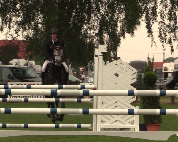 Reitturnier Hille 2018