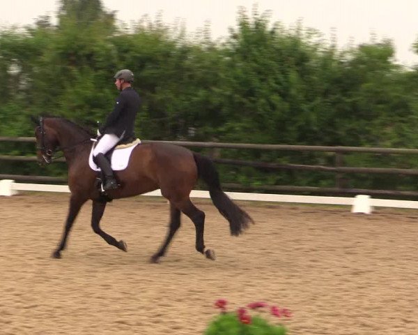 Reitturnier Schillerslage 2018