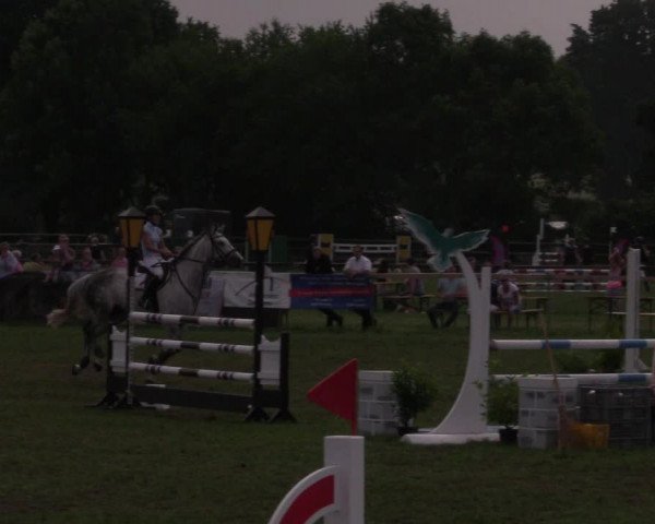 Reitturnier Schillerslage 2018