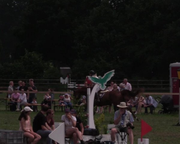 Reitturnier Schillerslage 2018