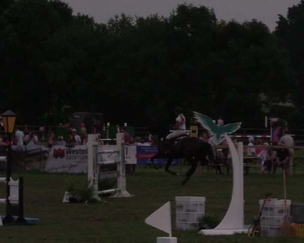 Reitturnier Schillerslage 2018