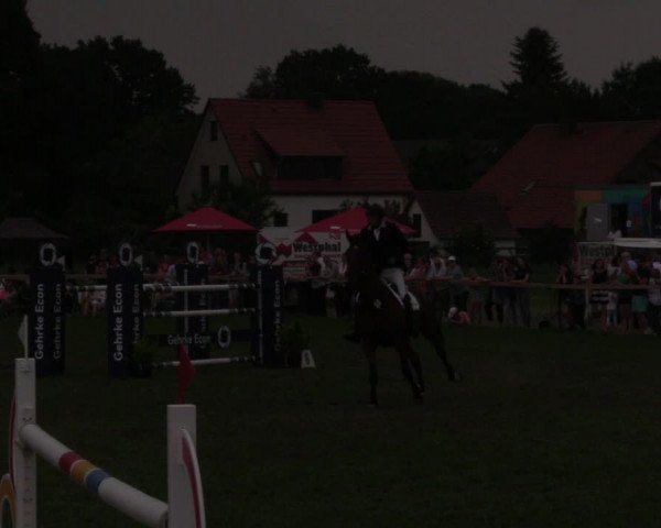 Reitturnier Schillerslage 2018