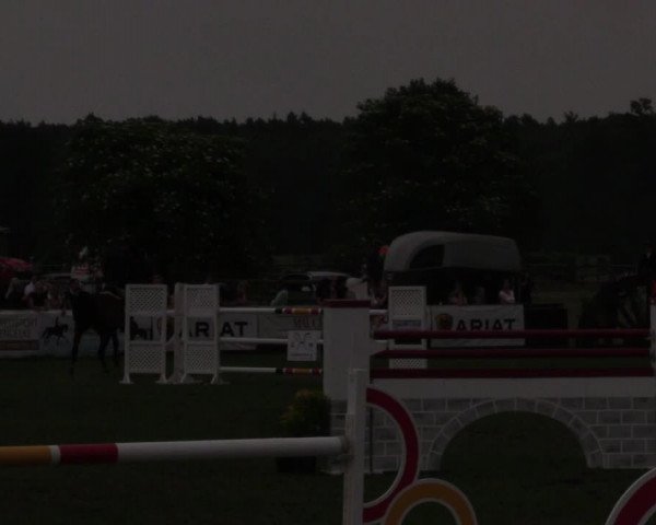 Reitturnier Schillerslage 2018