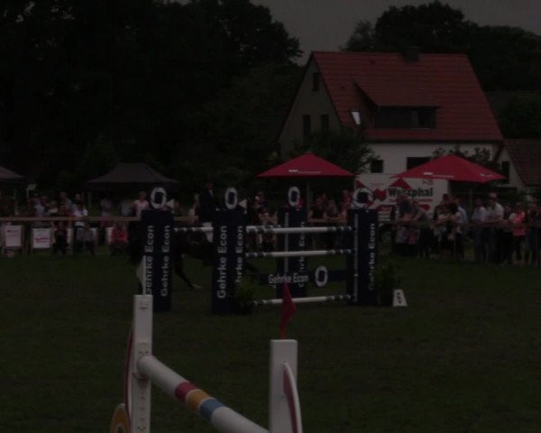 Reitturnier Schillerslage 2018