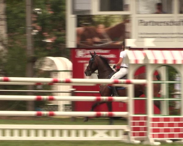Reitturnier Hille 2018