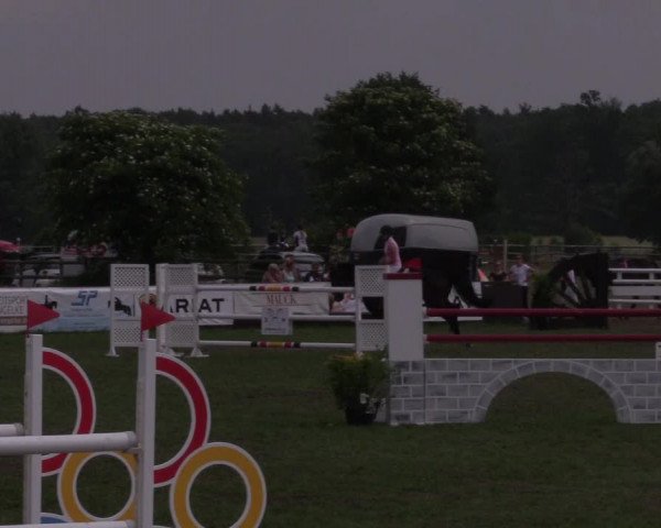 Reitturnier Schillerslage 2018
