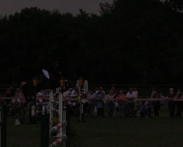 Reitturnier Schillerslage 2018